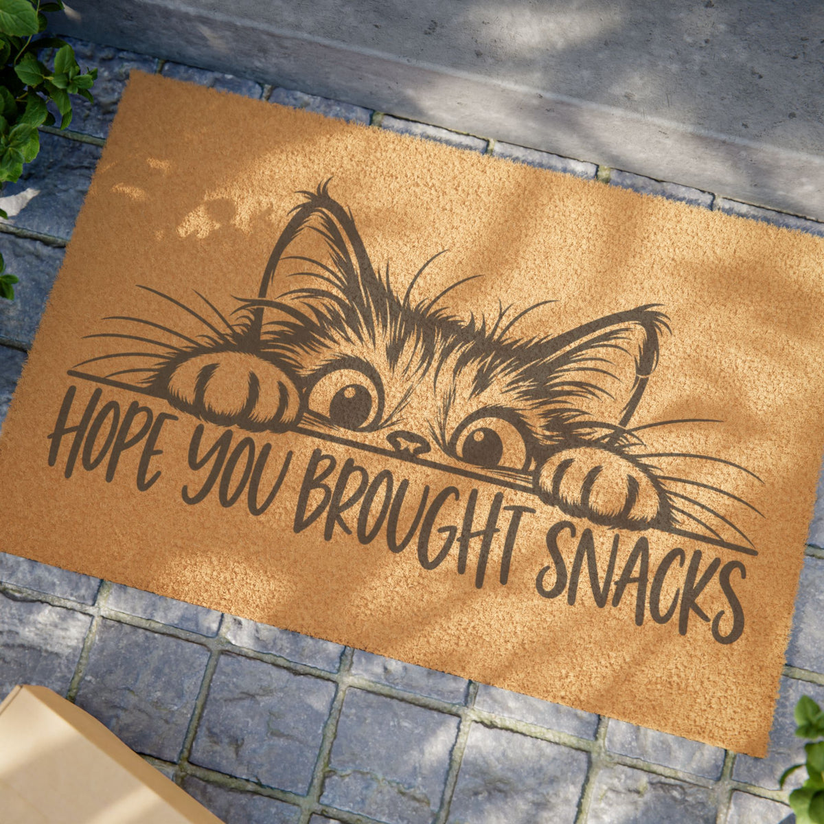 Hope You Brought Snacks Cat Doormat